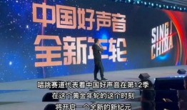 最新爆料好声音视频,独家揭秘幕后精彩瞬间，视频爆料直击选手实力对决